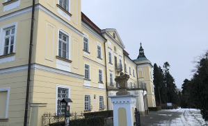 Výchova
